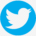 Twitter icon